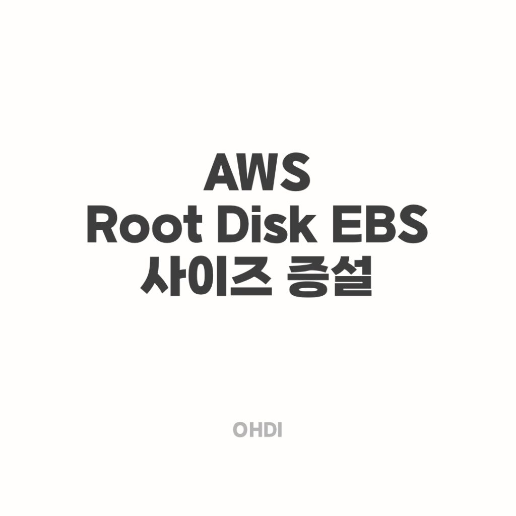 aws-root-disk-ebs-ohdi-travel